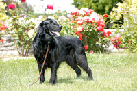 20040506-792S2021