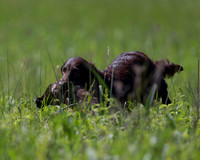 20130420-_P4Q2350