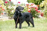 20040506-792S2020