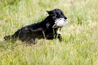20140531-_P4Q0280